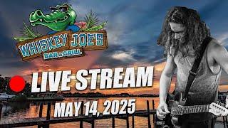 HAPPY HOUR LIVE LOOP JAMS w/ solo performer | Beach Bar | Port Richey , FL #shorts #livemusic
