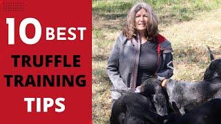 Top Ten Tips For Training Truffle Dogs