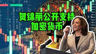 比特币日报（247）贺锦丽公开支持加密货币！