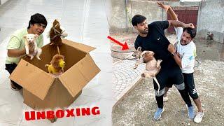 Mamu Or Inzi Ki Larai Ho Gai  Mystery Box Unbox Kr Dea 