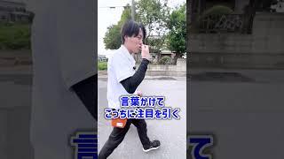【犬しつけ】お散歩中のアイコンタクトのコツ！