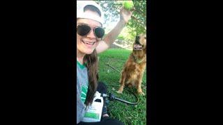 Wondercide Ready-to-Use Flea & Tick Yard Spray Tutorial