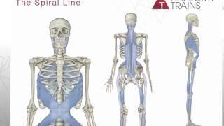 Tom Myers Introduces Anatomy Trains 3rd Edition