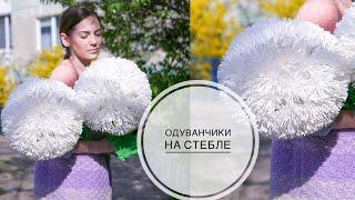 LARGE paper dandelions / БОЛЬШИЕ одуванчики из бумаги / DIY TSVORIC