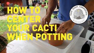 Rubber band-trick for centering your cacti when potting.