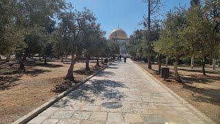 A tour in AlAqsa and Jerusalem. جولة من الأقصى إلى القدس