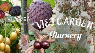 Visit “VIET GARDEN” Nursery. And find all sorts of tropical exotic fruit trees!