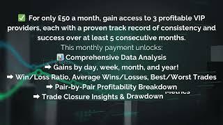 Forex Signal Provider Testing February 2025 Performance Update