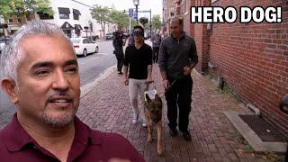 How This Veteran's Guide Dog Became A Hero | Dog Nation Episode 8 - Part 3