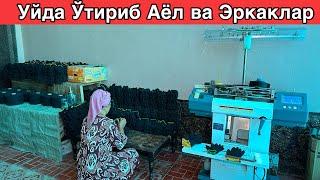 Уйда ўтириб Аёл ва Эркаклар учун бизнес