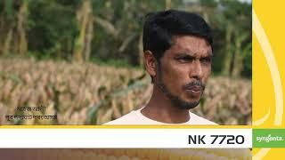 NK 7720 testimonials Video@syngentapaddy2877