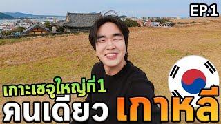 เที่ยวเกาหลีโนแพลนเช่ารถขับเกาะเชจูครั้งแรก!!! หนาวมาก...