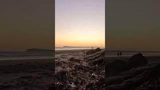 Beach Sunset  #shorts #melbourne #beach #summer