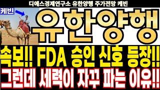 유한양행 주가전망] 속보!! FDA 승인 신호 등장!! 그런데 세력이 자꾸 파는 이유!! feat.디에스경제연구소 케빈