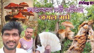 #vlog 01 | मशरूम की खोज | चला मशरूम बघायला | Going To Mashroom Looking With Jungle | Marathi Vlog KR