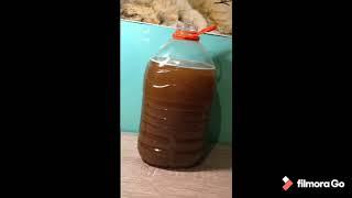 Evde Kolay ve Ucuz Elma Şarabı Yapımı (homemade wine making)