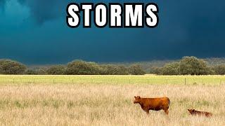 Tons of Close Range Lightning and a Huge Hail Storm May 26, 2025 Live Storm Chaser