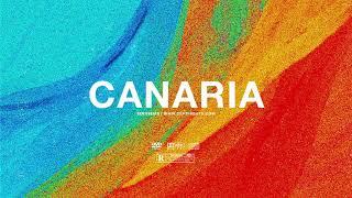 (FREE) | "Canaria" | Swae Lee x French Montana Type Beat | Free Beat Dancehall Pop Instrumental 2019