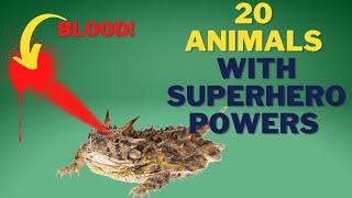 20 Animals With Superpowers That Will Blow Your Mind!