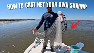 How To Find And Cast Net Shrimp In Your Area