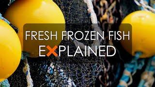 Fresh Frozen Fish - EXPLAINED