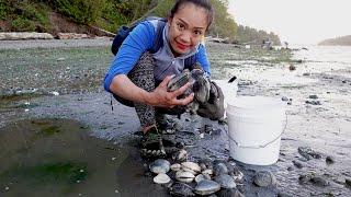 Digging for CLAMS! (catch and cook)