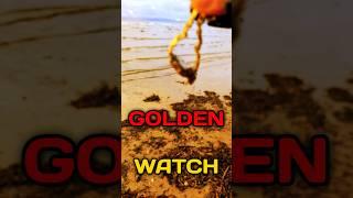 Deep on the beach #metaldetecting #prank #X-Findings #X-Finds #gold #odyn #treasure  #deus #ws6