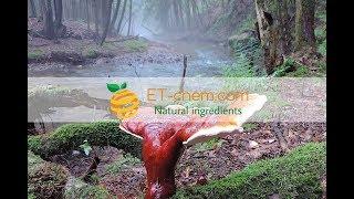 Reishi extracts, Ganoderma lucidum, Reishi carpofore dry extracts, Polysaccharides,benefits