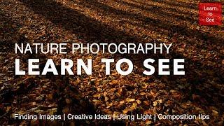 Nature Photography | Learning to See with Nature