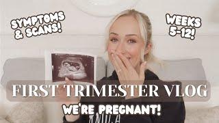 I'M PREGNANT! FIRST TRIMESTER VLOG! 5-12 weeks | Symptoms | Cravings | Scans | Baby announcment