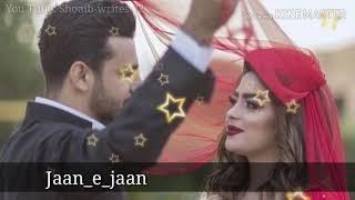 Tum kya mile jaane e jaan WhatsApp status