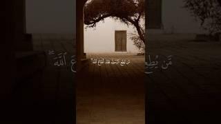 تلاوة من القرآن الكريم بصوت الشيخ علي جابر - رحمه الله | سورة النساء من آية ٨٠ إلى آية ٨١ |