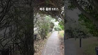 제주 올래 5코스 #김일교수 #여행 #인생은행복해 #생각명료화전문가김일교수 #travel #걷기전문가 #자연의힘 #바다 #강의와여행