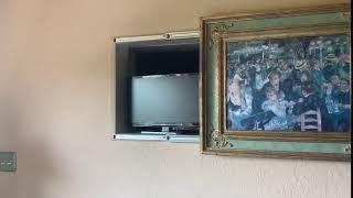 Hidden television