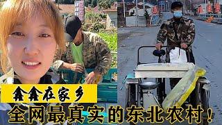 鑫鑫在家乡：全网最真实的东北农村生活，一声“豆腐”收获百万粉丝！
