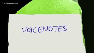 Skillibeng - Voice Notes ; Like Me/ Love Letter/ Dry Eye "Part 1”