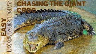 Chasing the Giant Monster Crocodile  - Full Easy Documentary