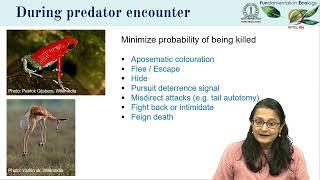 Lec 07 Adaptations in predator-prey interactions