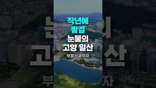 작년에 팔걸 후회하는 집주인들 '눈물의 고양 일산 아파트'