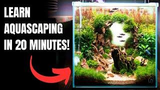 2025 Complete Aquascaping Beginners Guide - Learn ALL The Basics!