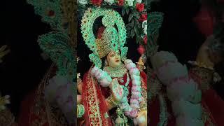 Day 34 🪔 Maa Jwala Ji ka pavitra JYOT MELA #MaaJwalaJi #JyotMela #AashishBansi #BhajanWithBansiJi