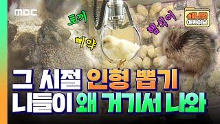 [애니멀 아카이브] ENG 그 시절 인형 뽑기 클라스, 니들이 왜 거기서 나와 | Animal Archive ,Chick, Hamster, Rabbit, Claw machine