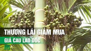 Giá cau tươi đột ngột “tuột dốc không phanh” do thương lái Trung Quốc giảm mua?| VTC14