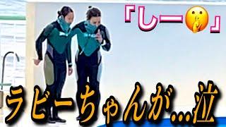 ラビーが鳴き続けた日　鴨川シーワールド　シャチ