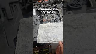 We Got a Surprise When We Ripped this Flooded Harley-Davidson Apart
