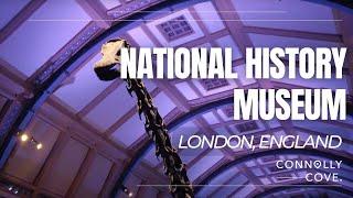 The Natural History Museum | London | Museums in London | England | Things To Do In London