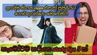 කවදාවත් වරදින්නෙ නැති study tips 5 ක් ||Uni Life #sinhala #study #tips