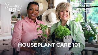 Houseplant Care Tips for Beginners ️ | You Can Do It! | QVC+ HSN+