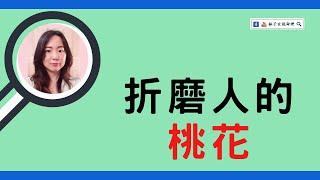 折磨人的桃花 | 八字案例 | #林子玄說命理