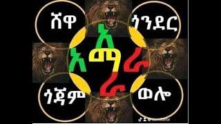 Ethiopian Diaspora Talking. ጎጃም ጎንደር ወሎ ሸዋ